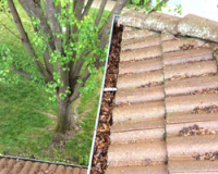 service-roof-maintenance